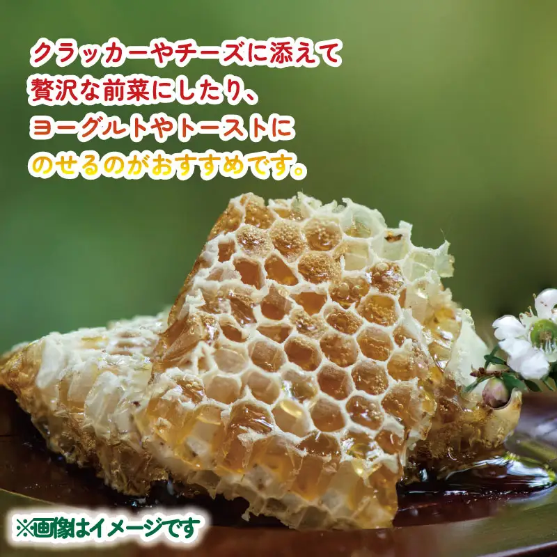巣蜜 コムハニー 250g × 2個 セット 宇和島農産 ハニー F018-132012