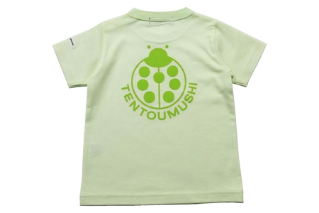 子ども用 半袖Tシャツ TENTOUMUSHI てんとう虫PT ライトグリーン 90サイズ [0800]