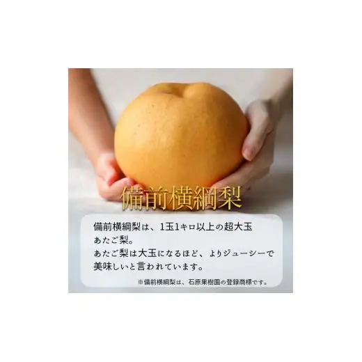備前横綱梨 2玉箱 赤秀(1～1.5kg玉) 【先行予約 2026年11月中旬から順次発送】