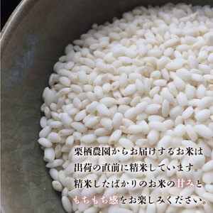 コシヒカリ 定期便 3回 5kg 令和8年産 米