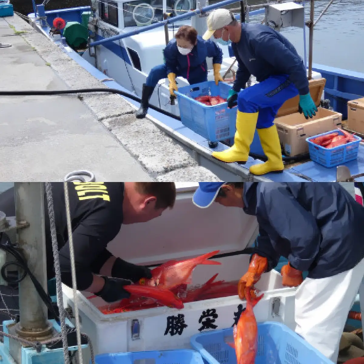 B312 御宿産釣りきんめ鯛の煮つけＡ　ONJC009