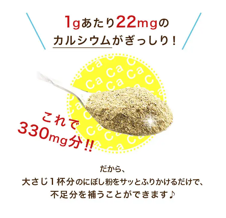 B313 煮干しの粉１０袋セット　ONJC010