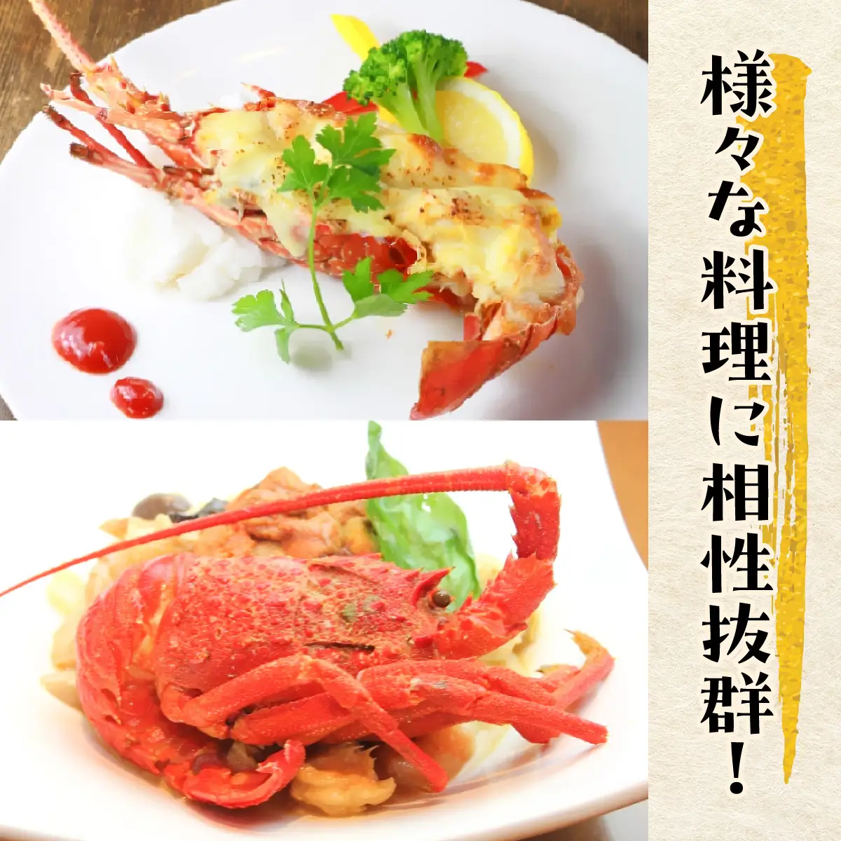 G110 冷凍蒸し伊勢えびB　ONJA020