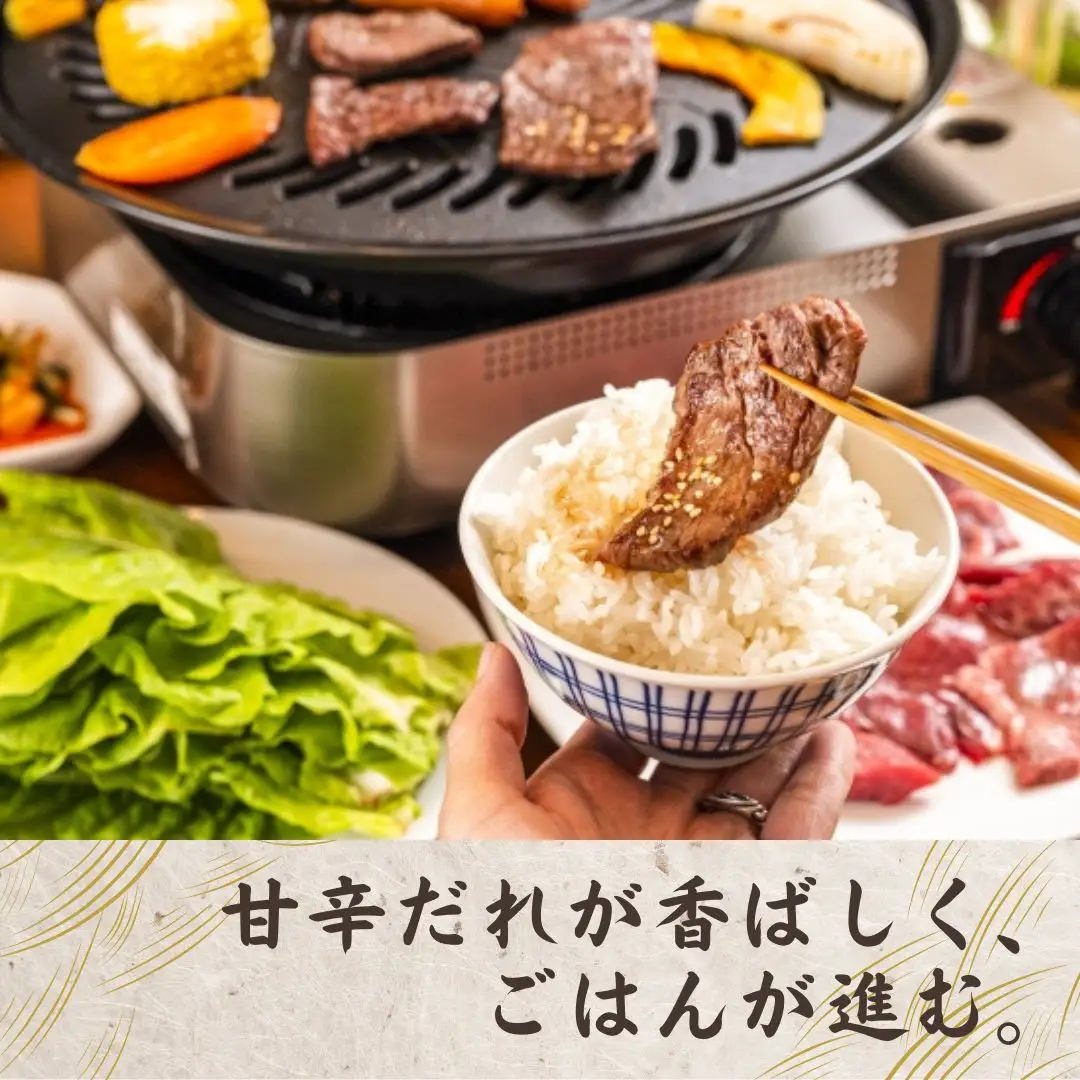 おおいた和牛 味付け焼肉 500g×1P タレ付き | 豊後高田市 焼肉