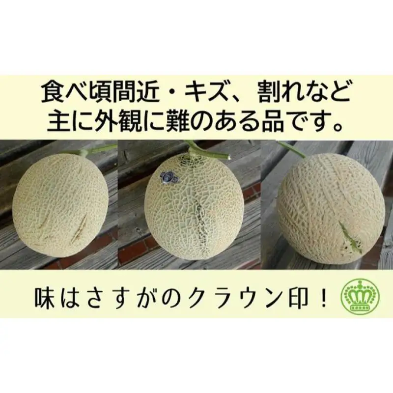 クラウンメロン 訳あり 静岡県産 クラウンメロン【1玉】【9ヶ月定期便】