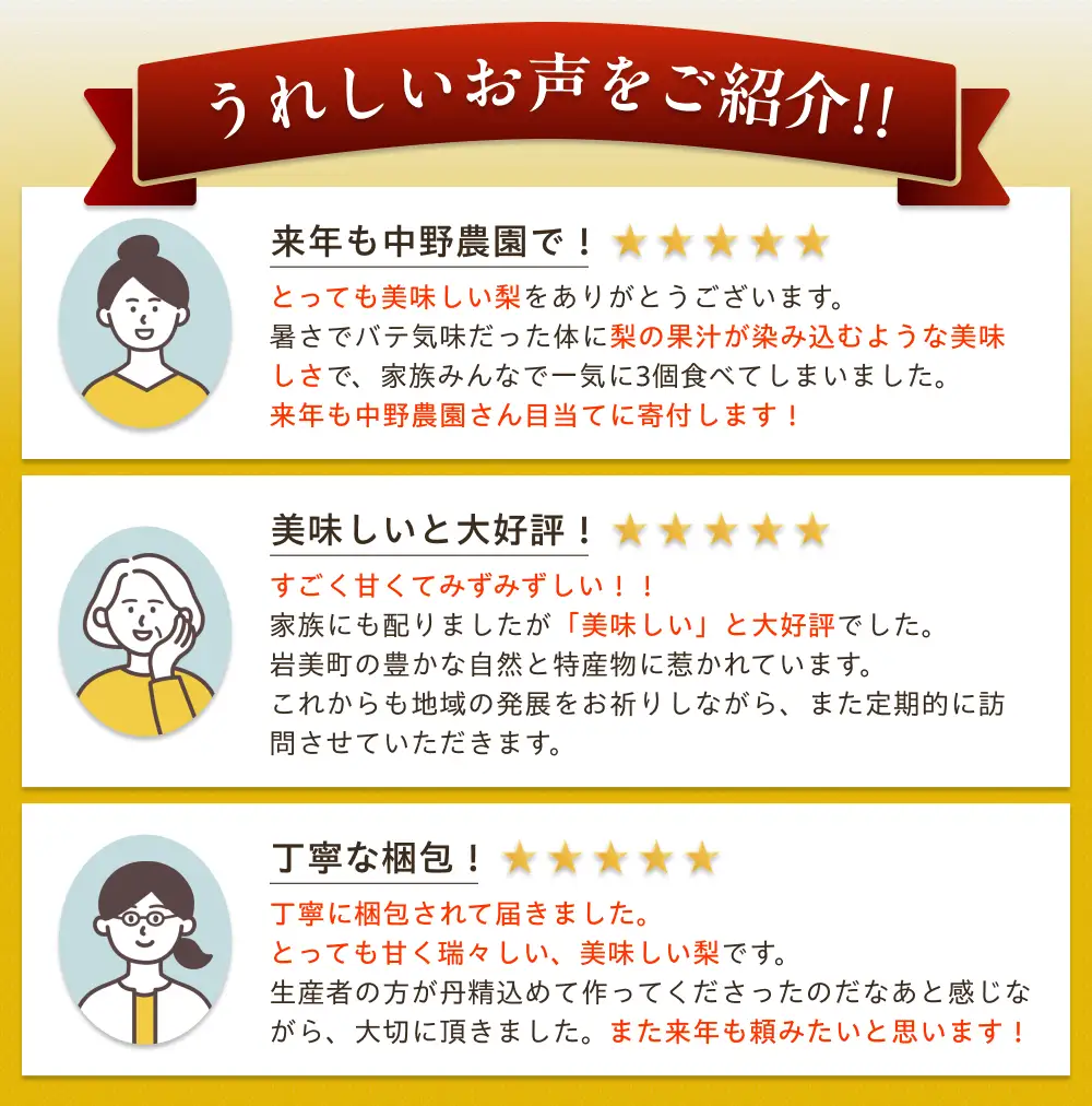 【先行予約】（訳あり）中野農園 梨 ”新甘泉” 3kg箱｜鳥取 岩美 梨 なし ナシ 赤梨 果物 フルーツ【41047】