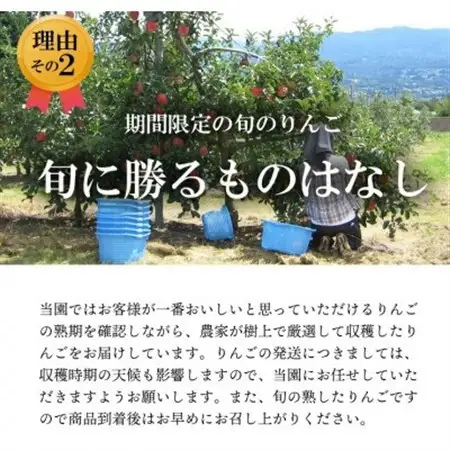 【南信州あじさい農園】葉とらずりんご(グラニースミス)約3kg【1593235】