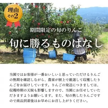 【南信州あじさい農園】葉とらずりんご(グラニースミス)約15kg【1593255】