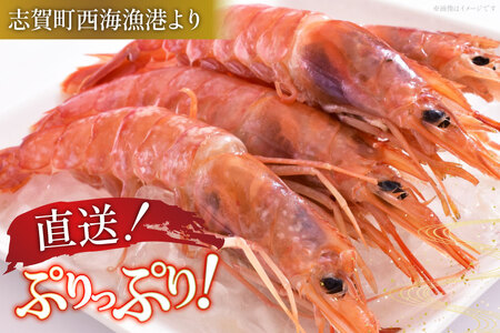 【期間限定発送】 甘エビ 冷蔵 800g