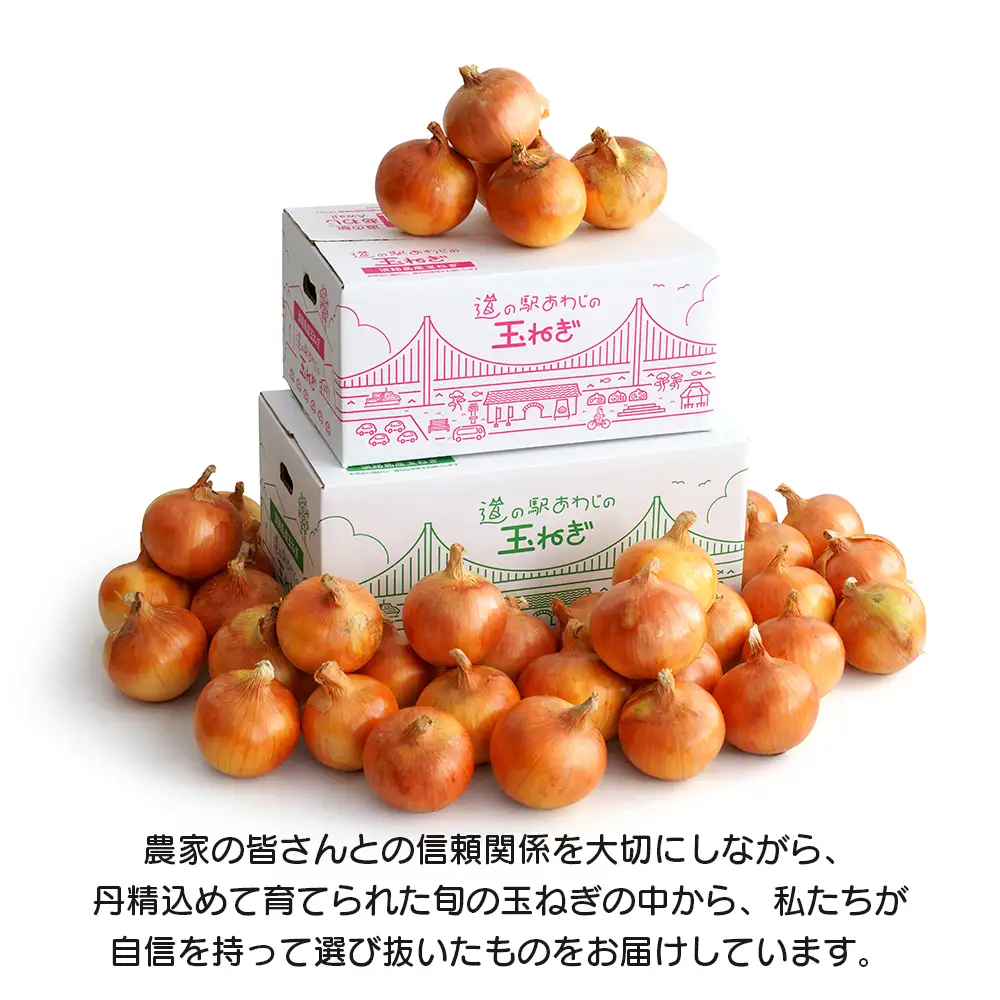 道の駅あわじの玉ねぎ10kg箱