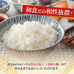 【令和8年産】村井農園産こしひかり（精米）5kg 【 米 お米 白米 精米 こしひかり 国産 宮崎県産 おにぎり 】