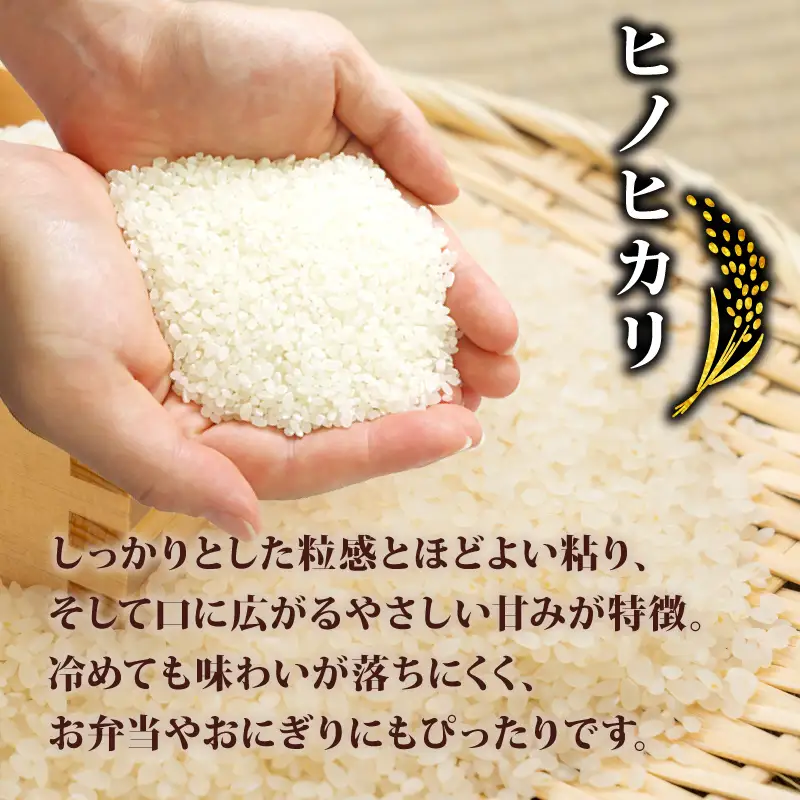 【新米】令和8年産 ヒノヒカリ 5kg 新米 京都府 井手町