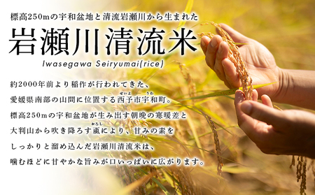＜令和8年産 岩瀬川清流米 コシヒカリ 10kg＞ 10キロ こしひかり お米 コメ こめ 白米 精米 ご飯 穀物 鮮度 特産品 愛媛県産 西予市産 宇和町産 OTSUKAFARM 愛媛県 西予市 【常温】『2026年9月下旬から順次出荷予定』UOF0003