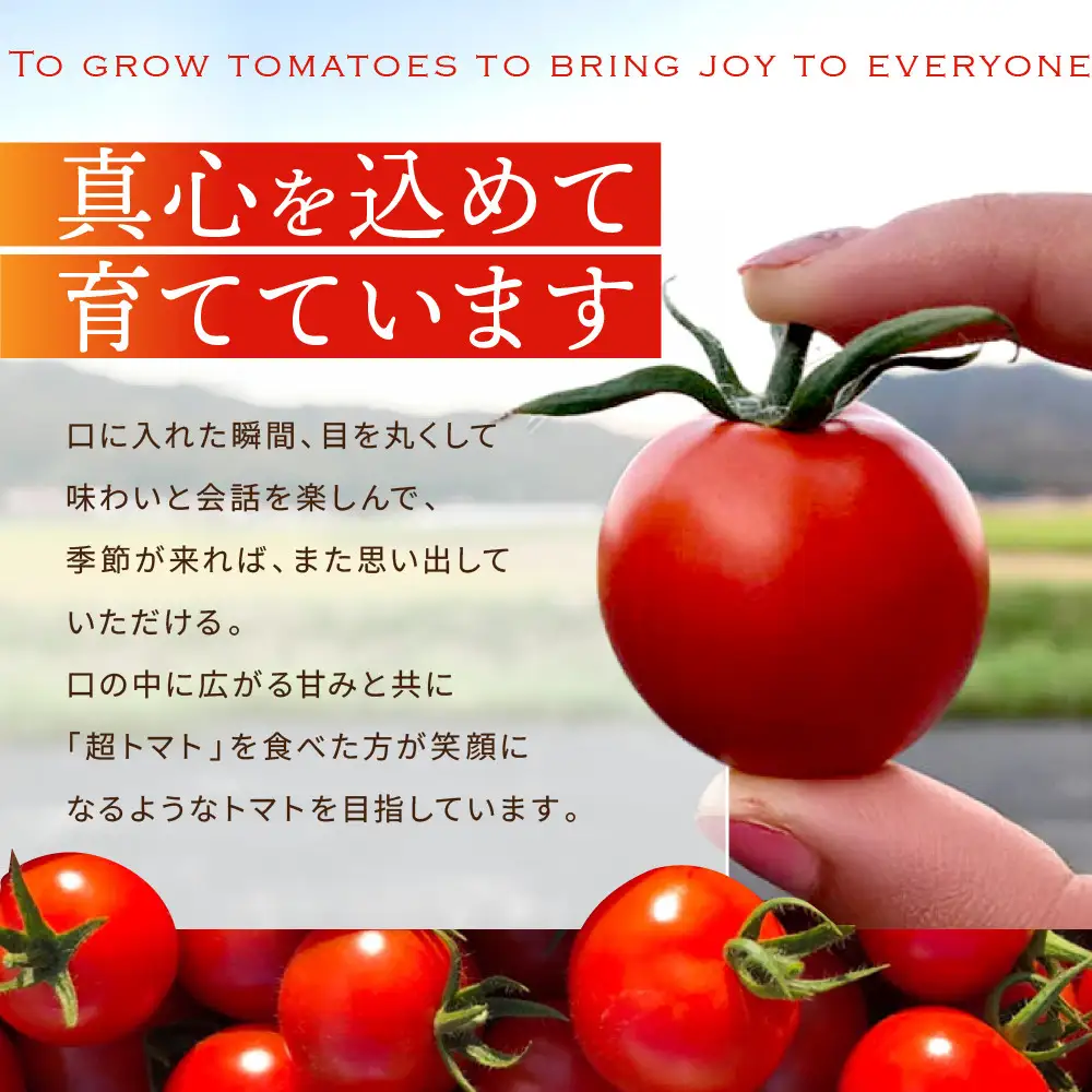 出雲の國からの贈り物～超トマト３ｋｇ＆超トマトジュース２本