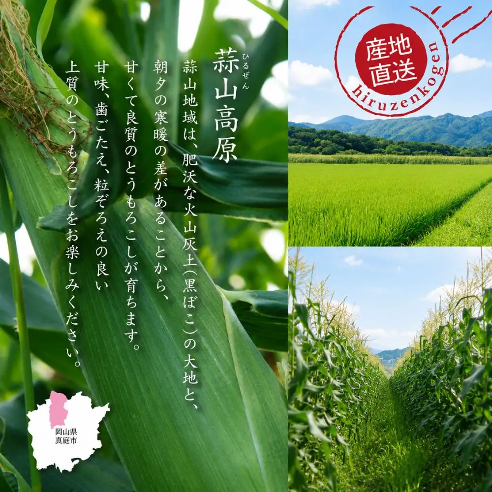 とうもろこし 蒜山高原産 朝採れとうもろこし20本 (イエロー10本 ホワイト10本) 【jujy004-02】