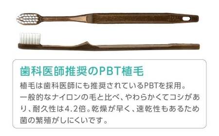 竹バイオマスハブラシと歯磨き粉のセット 50袋  歯ブラシ 歯磨き粉 歯磨き はみがき マウスケア 健康 竹製歯ブラシ 国産 九州 福岡県 北九州市