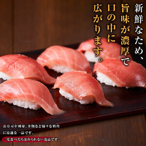 天然バチまぐろ　中トロ　1kg◇