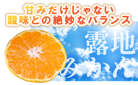 【2026年10月以降順次配送分】ふじ農園の露地みかん 訳あり品 10kg (2S～M)【みかん みかん みかん みかん みかん】 fn-0014