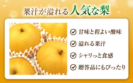 【先行予約】豊水梨 6-9玉入り BKAD051 梨