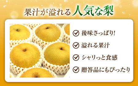 【先行予約】なつしずく梨 5-6玉入り BKAD064 梨