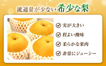 【先行予約】豊華梨 6-9玉入 BKAD037 梨