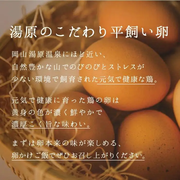岡山県真庭産 あさひの輝き ギフトセット 30個（10個×3パック） 平飼い たまご 玉子 卵 無選別 こく旨 濃厚 黄身 白身 国産 地鶏 たまごかけごはん 贈答 無精卵 真庭市 こだわり 湯原 栄養満点 味が濃い オーストリッチファーム 生食 朝食 ブランド 鶏卵 おいしい 産地直送 【配送不可地域：北海道／沖縄県／離島】 【jujy018-01】