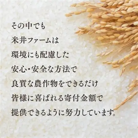 おいしいお米(5kg)無洗米　リピーター続出【1647875】