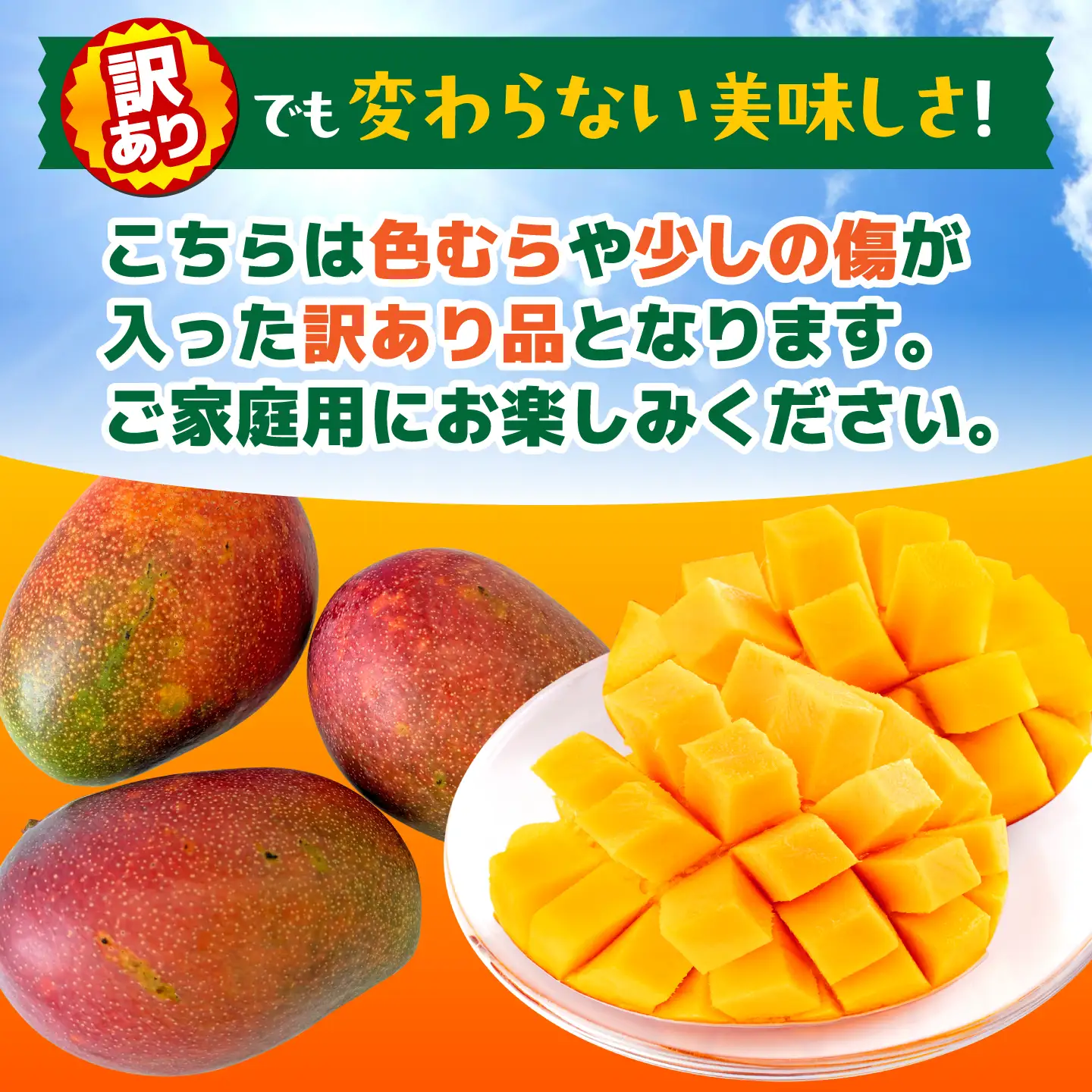 【2027年6月上旬から順次発送】友枝マンゴー農園の完熟訳ありマンゴー約1kg AYDF001