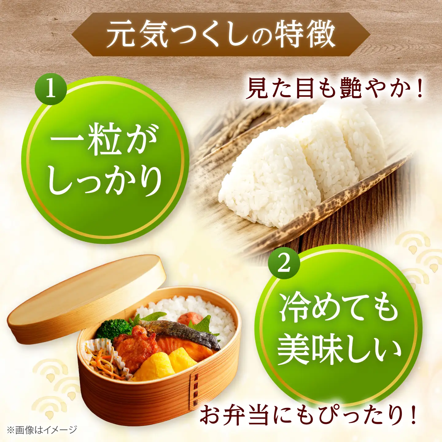 【先行予約】【令和7年産】元気つくし 白米 5kg [BGAA090] 元気つくし