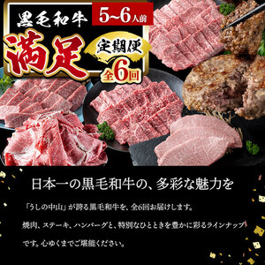 【定期便全6回】＜A4・A5等級＞黒毛和牛堪能〈満足〉定期便（5～6人分）総重量3.9kg 鹿児島県産 黒毛和牛 和牛 肉 牛肉 国産 九州産 鹿児島県産 焼肉 焼き肉 BBQ A4 A5 赤身 切り落とし カルビ お楽しみ 食べ比べ ハンバーグ ミスジ 霜降り ステーキ 5人前 6人前 t0118-002