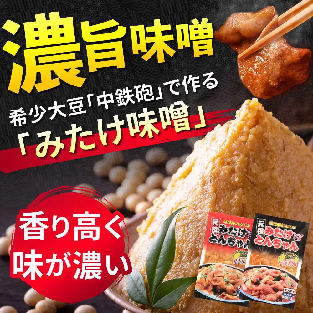 「元祖みたけとんちゃん」 3種セット（6人前）[AVAA056]ホルモン 食べ比べ