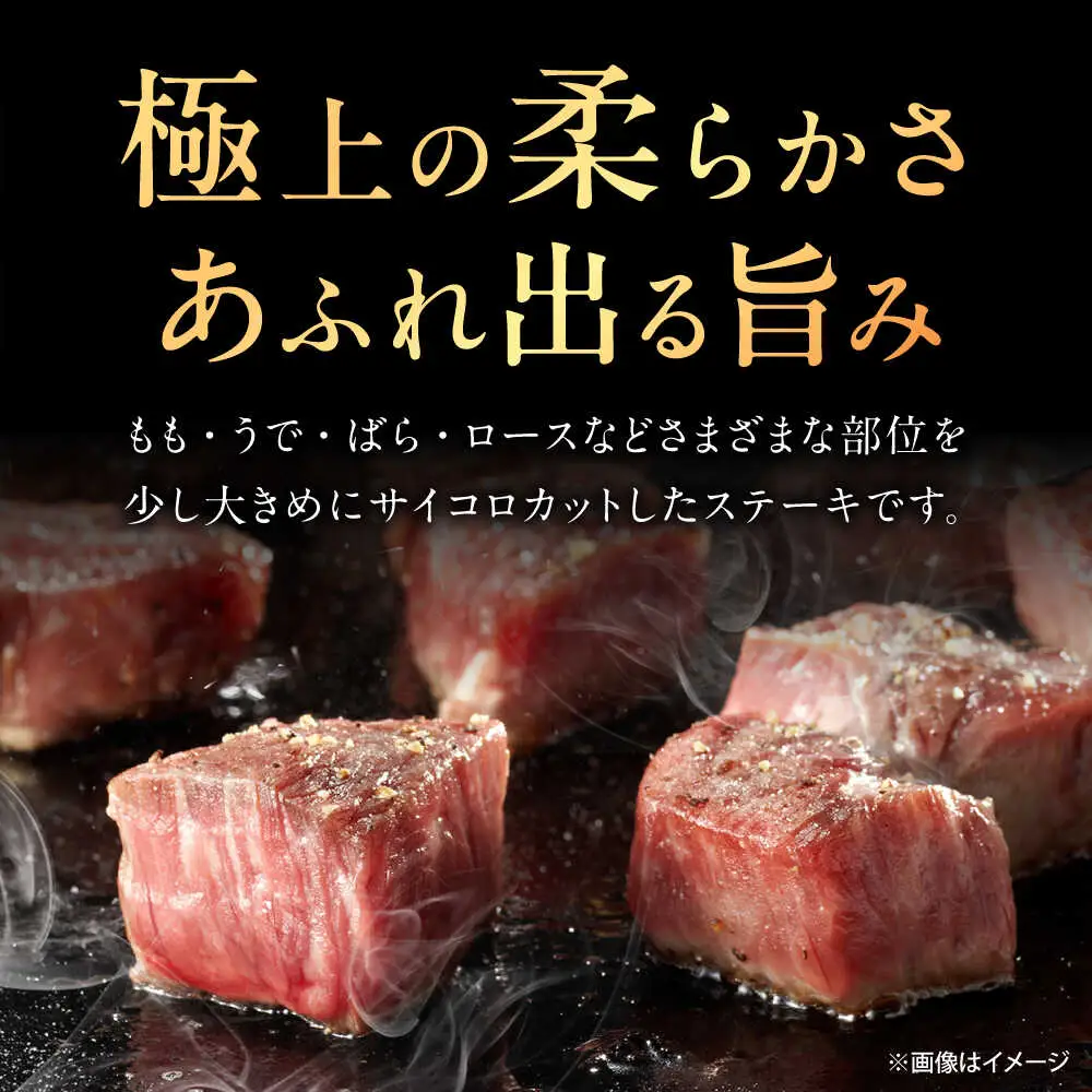 【6回定期便】佐賀牛 サイコロステーキ 500g /MKミート武雄[UEM026] サイコロステーキ