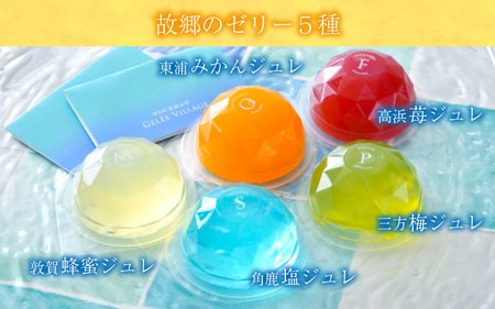 [009-a010] ジュレビレッジ 10個（5種類 × 2個）