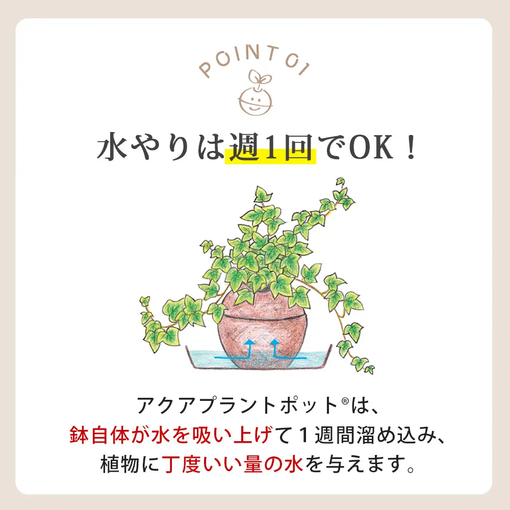 【ふるなびWEEK対象】アクアプラントポット®　玉Ｓ 植木鉢ガジュマル FN-Limited-PR（2341）