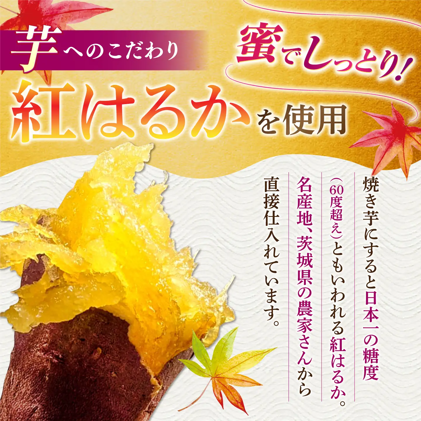 6回定期便 冷やし焼き芋 5本[AMBU015] 焼き芋 さつまいも 冷蔵