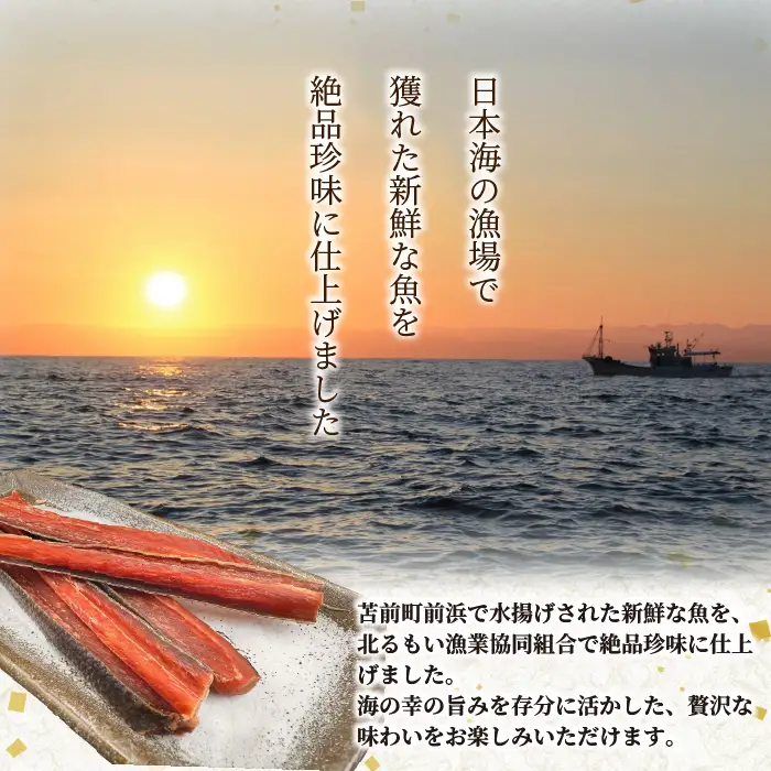 鮭とば 3袋 北海道苫前産 珍味 海鮮 乾物 おつまみ 肴 アテ サケ シャケ 北海道 苫前町 とままえ kit24