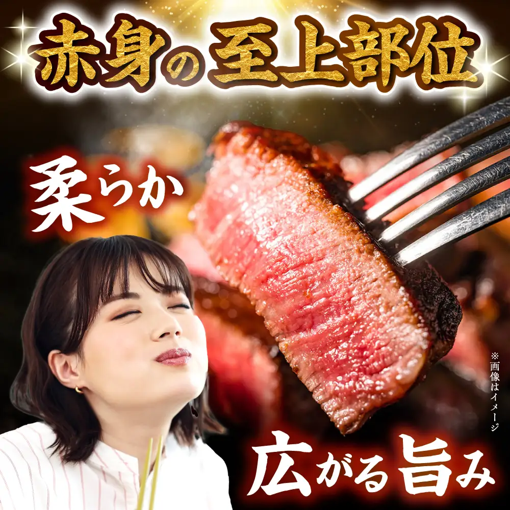 希少部位 瀬戸山麓牛 ヒレステーキ 500g(100g×5) / 牛肉 ヒレ ステーキ / 瀬戸市 /合資会社関屋精肉店[BBBQ057]