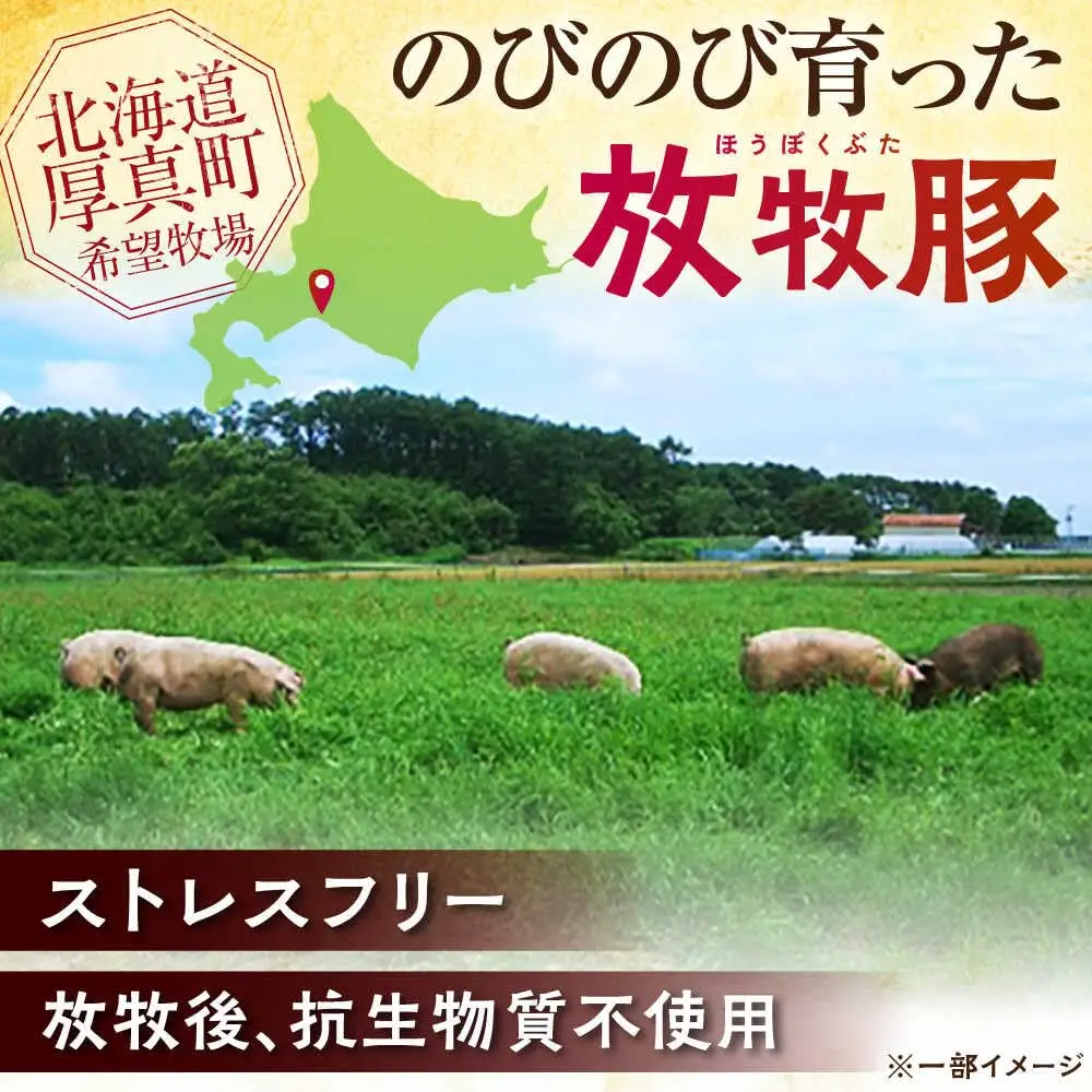 放牧豚 ベーコンブロック 計360g（180g×2） 無添加 無塩せき 発色剤不使用 北海道 [AXBA112]