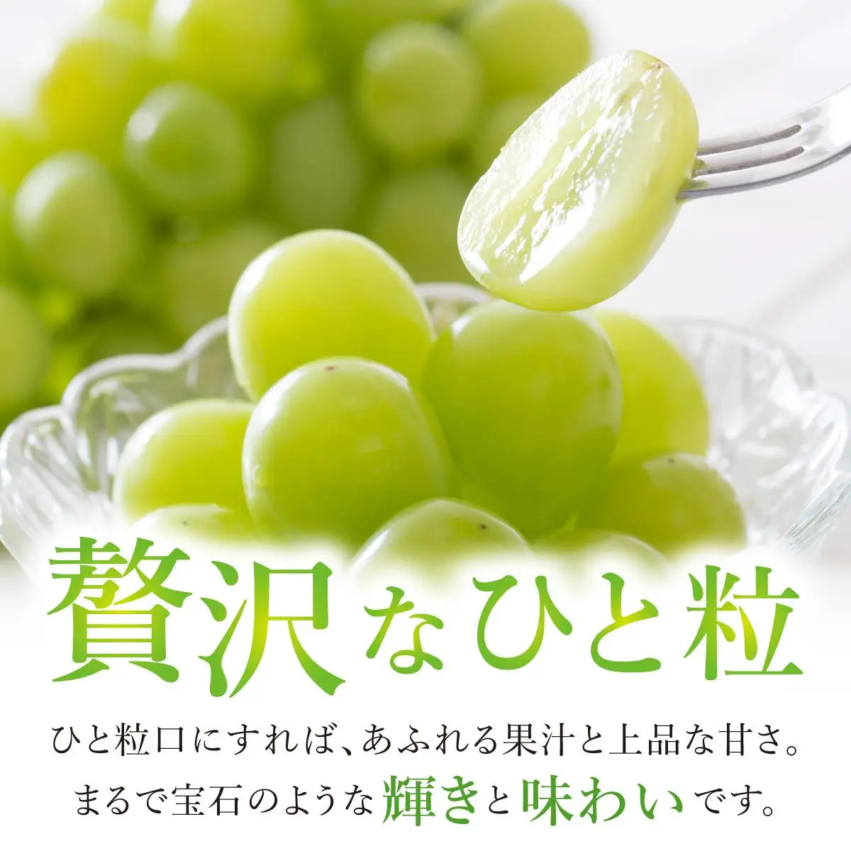 ＜先行予約＞シャインマスカット 2房（1kg以上）化粧箱入り