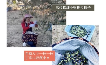オリーブオイル エクストラバージン 三代松家 無濾過 小豆島産 オリーブオイル【120ml×3本】