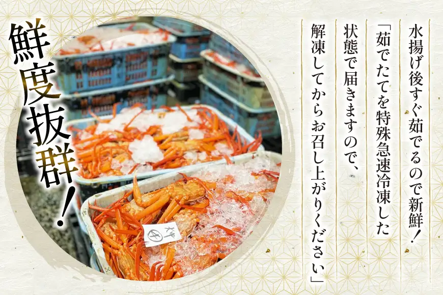 カニ ベニズワイ 冷凍便 中サイズ 3杯 総計1.2kg以上