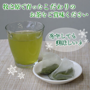 緑茶ティーバッグ 緑茶 お茶 国産 100個 緑茶ティーバッグ