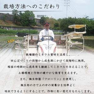 【10月中旬頃発送】 新米 コシヒカリ 10kg 米