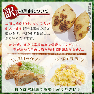 ≪訳あり≫湧水町産有機じゃがいも ニシユタカ 約10kg 国産 九州産 鹿児島産 有機野菜 有機栽培 じゃがいも ジャガイモ にしゆたか 野菜 やさい おかず 旬 わけあり 訳アリ 規格外 期間限定 数量限定 オーガニック 【そのやま農園】_y563