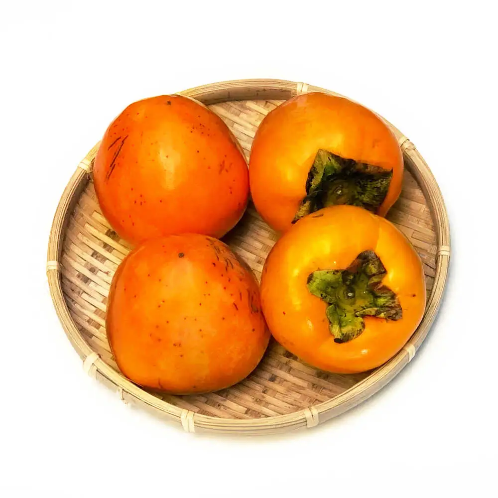 富士柿 10kg  柿 かき 種なし[AGAR016]