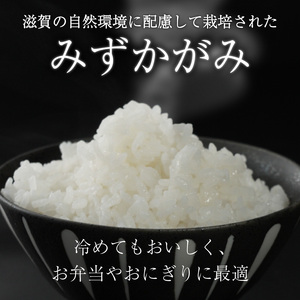 みずかがみ 5kg ミズカガミ お米 (令和7年産)