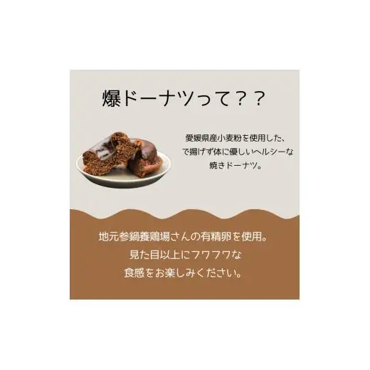 爆ドーナツ堪能ギフトセット チョコ