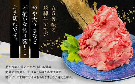 A5飛騨牛 定期便 3回 切り落とし 1kg | 定期便 HF115