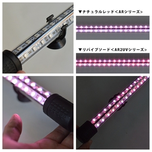 朱紫龍灯 リバイブソード EX LED 2列 UV 紅龍|AR2-90-UV-EX 朱紫龍 紅龍 水中 アロワナ 紫外線 UVチップ 照射 水槽ライト テンニングライト ライト 照明 水中照明 光 綺麗 強化ガラス 吸盤 1年保証 簡単 設置 でんらい インテリア 雑貨 愛知県 小牧市 送料無料 [172C14]