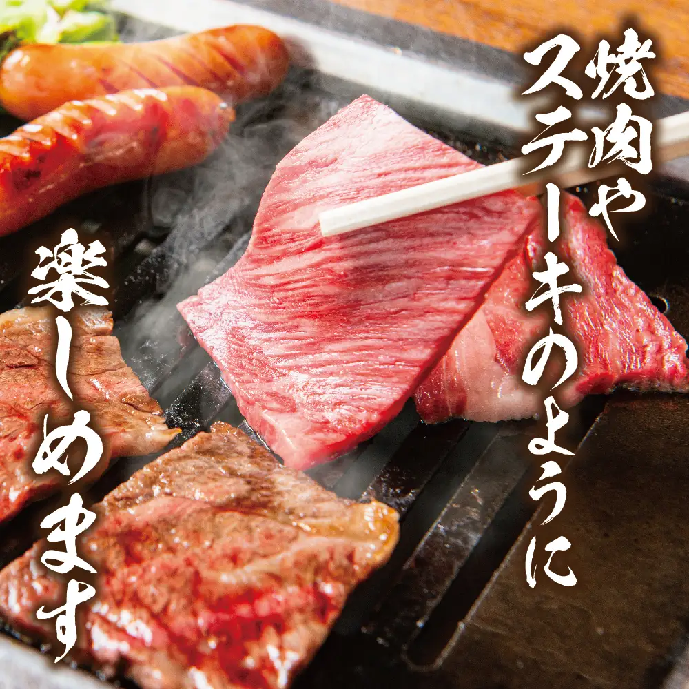 【定期便全3回】飛騨牛 訳あり焼肉1kg 切り落とし｜2ヶ月に1回 焼肉 LR105